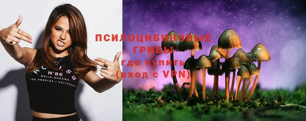 трава Сосновый Бор