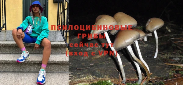 скорость Белокуриха