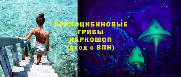 мдпв Сосновоборск