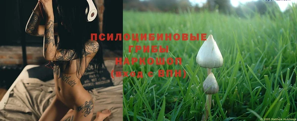 амф Белоозёрский