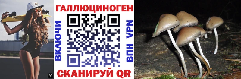 ссылка на мегу вход  Олёкминск  shop наркотические препараты  Галлюциногенные грибы MAGIC MUSHROOMS 